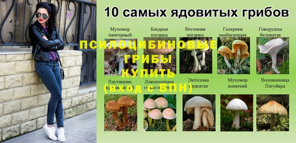 мяу мяу мука Беломорск