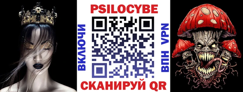 Псилоцибиновые грибы Psilocybe Сухой Лог